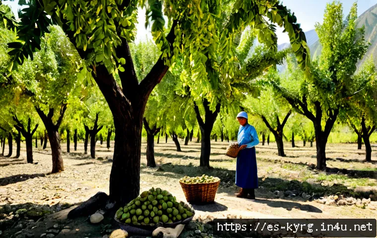 키르기스스탄 농업 특산물 - Photorealistic wide-angle view of a fertile Kyrgyzstan walnut orchard in the Jalal-Abad region, matu...